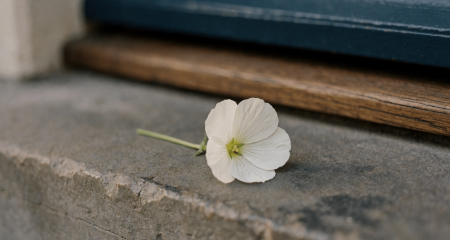 Witte bloem op een stenen trede in zacht daglicht